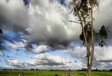 九游体育平台-摩洛哥瓦赫达主帅强调团队配合，迎战欧洲劲旅
