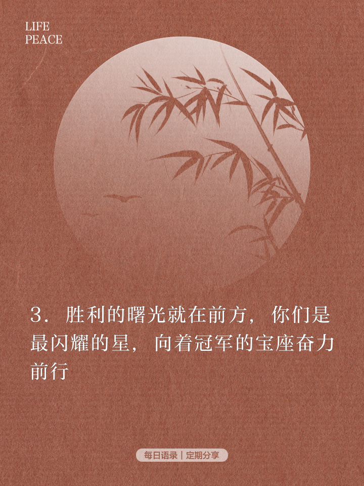江苏宝狮队实力过人，再次登上胜利之巅